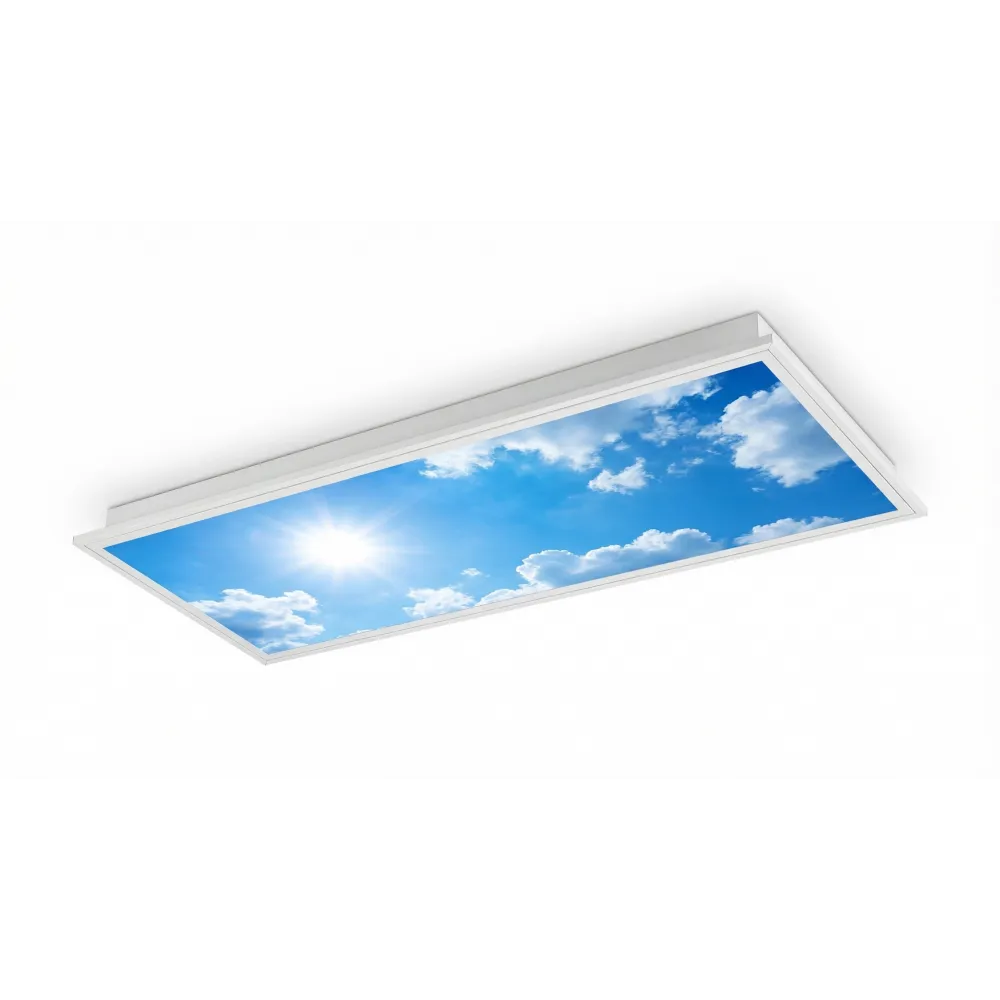 Siebbedrucktes Plexiglas 1200x300 DESIGN für Panel START 3 FS