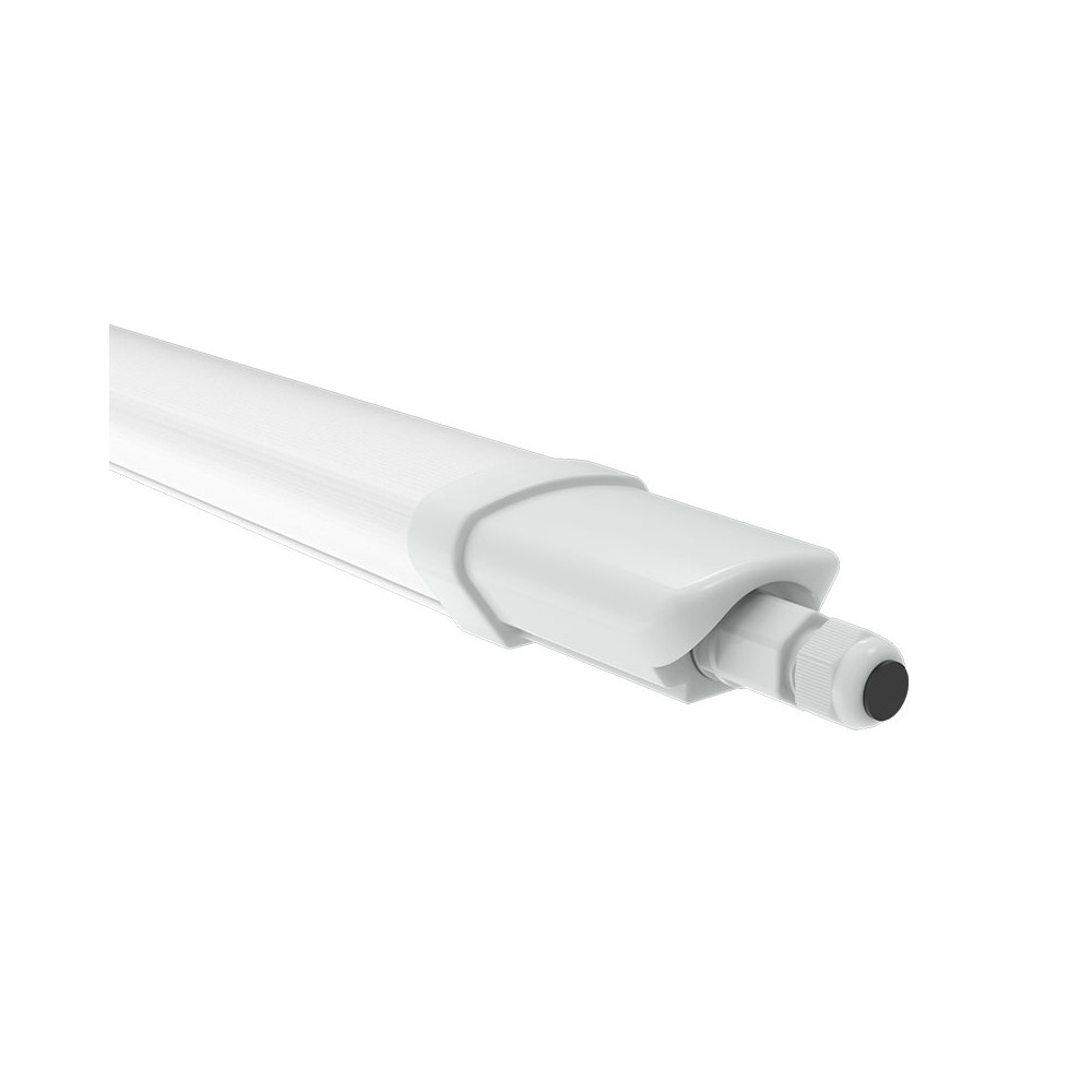 EverPark Slim CLAREO 120cm 36W START