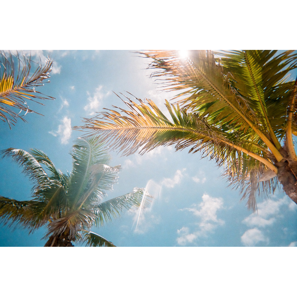 Siebbedrucktes Plexiglas 600x600 DESIGN für Panel START 3