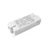 TRIAC-Treiber EagleRise 250mA 12W Klemme LS-12-250 TRIAC LI