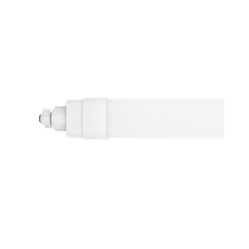 EverPark CLAREO 150cm 56W 160lm/W ADVANCE 4