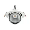 DownRay Orientable CLAREO 37W IRC90 DESIGN Sans Driver