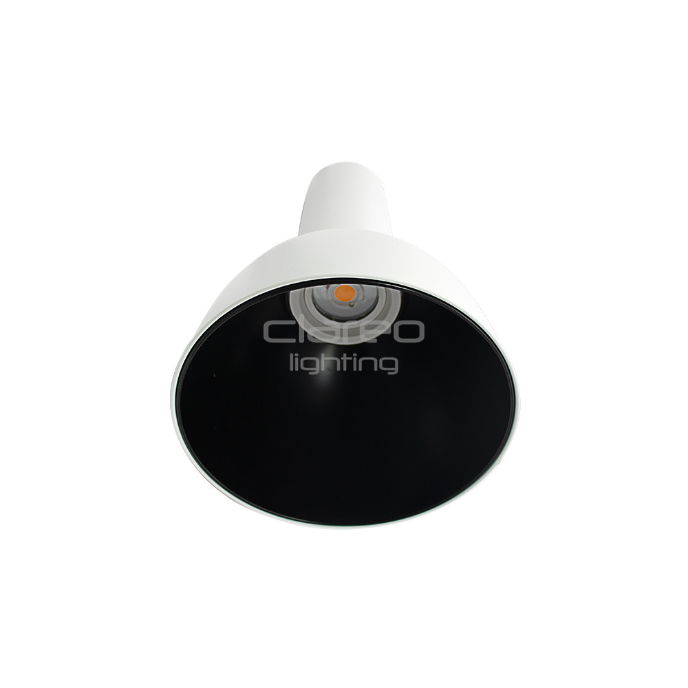 Alu Witte Koepel RAL 9003 en Zwarte reflector RAL 9005 voor Eclipse CLAREO DESIGN