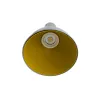 Alu Grijze Koepel RAL 7045 en Honinggele reflector RAL 1005 voor Eclipse CLAREO DESIGN