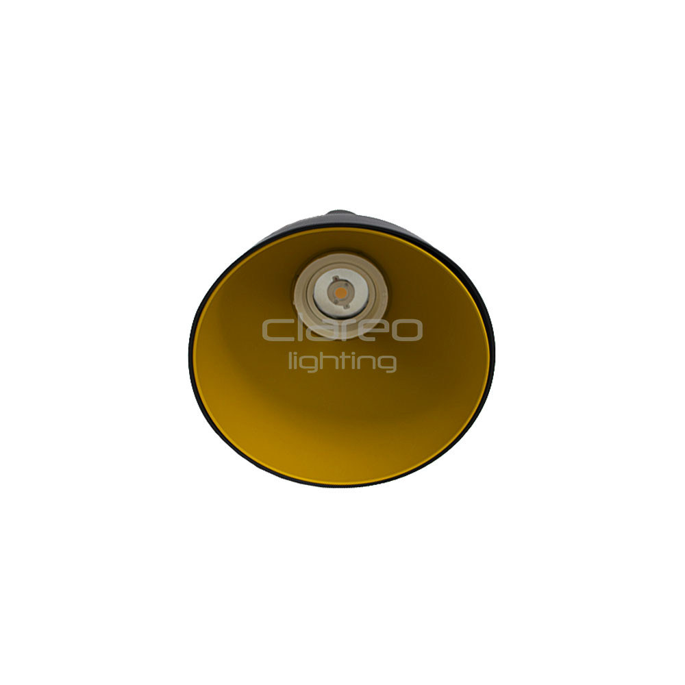 Black Aluminum Dome RAL 9005 and Copper Reflector RAL 1005 for Eclipse CLAREO DESIGN