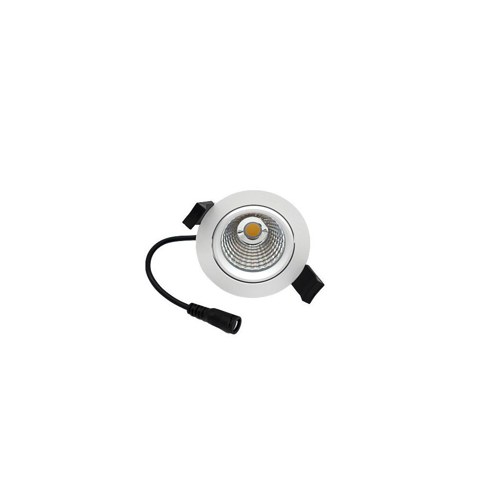 MiniRay Verstelbaar CLAREO 10W ADVANCE Met Driver