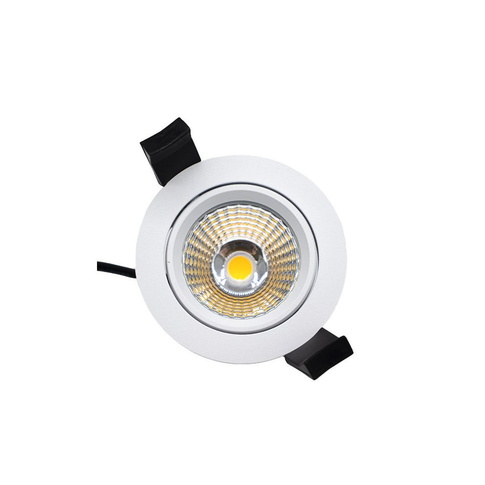 MiniRay Verstelbaar CLAREO 10W ADVANCE Met Driver