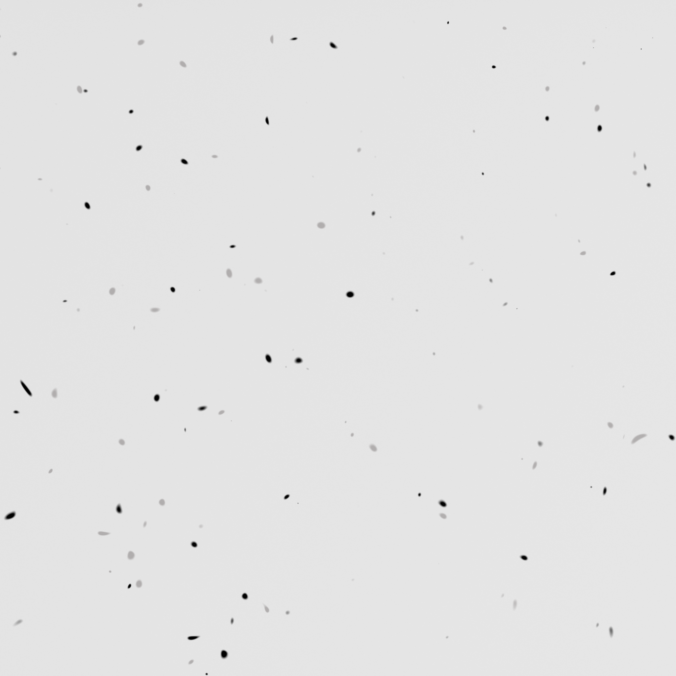 Texture 003 Soft White and Black
